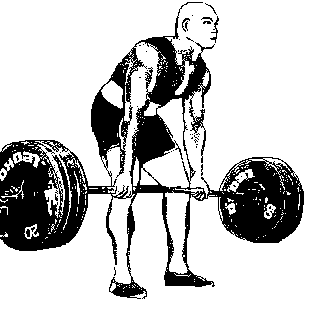 Фалеев - Анти-Макроберт. Думай! По-Русски. Как Тренироваться По Циклам