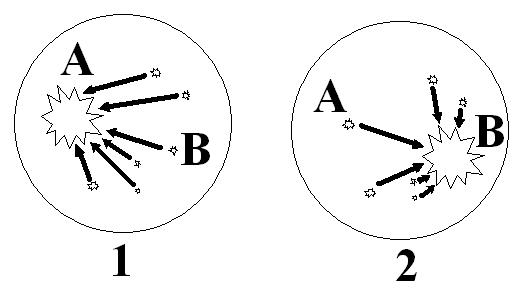 Фалеев - Анти-Макроберт. Думай! По-Русски. Как Тренироваться По Циклам
