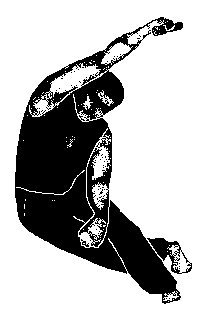 Фалеев - Анти-Макроберт. Думай! По-Русски. Как Тренироваться По Циклам