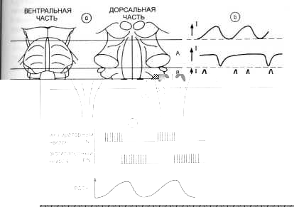 ��������������� ������� �������