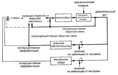 ��������� �������