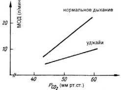 ��������, ������������� � ��������