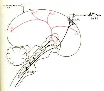 ��������������������� ��� ���������