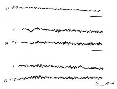 ��������������������� ��� ���������