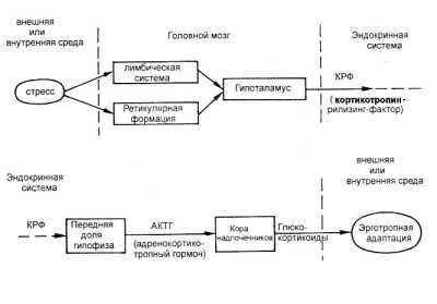 ������� ���������� ������� � �������� ����