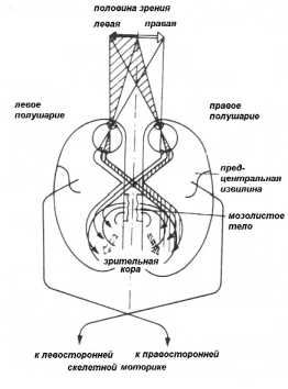 ������������ ��������� ��������� �����