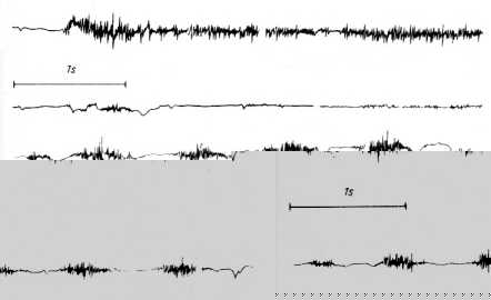 ������������� ������� ����