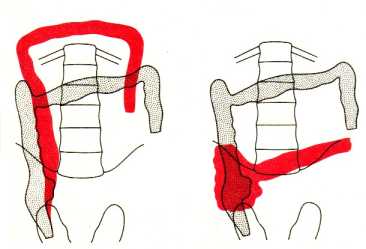 ������������� ������� ����