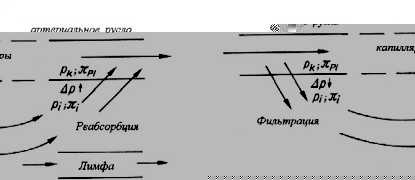 ��������� ����������������� ��������