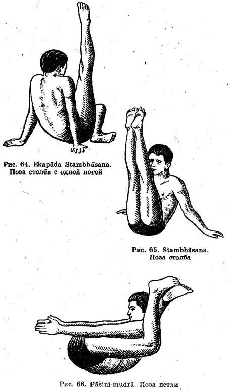 ������ ���� � �������� ������ ���