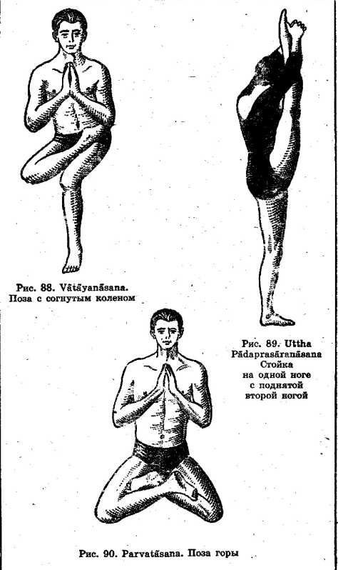 ���� ����� � �������� ��������