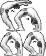 �����-����������