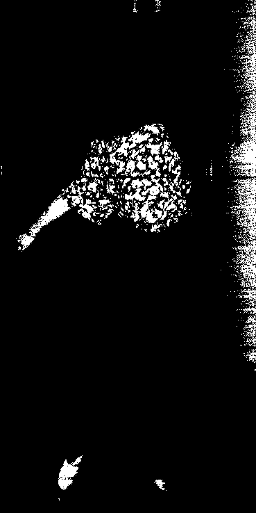 �������� ����������� � �����������