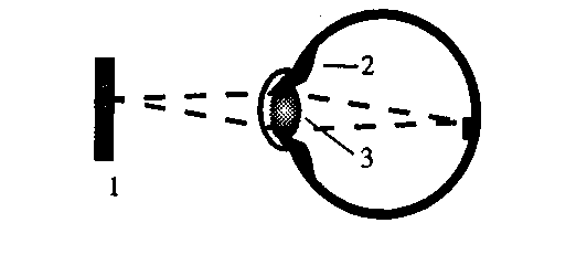 C���������