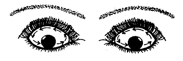 ���������� � ������������