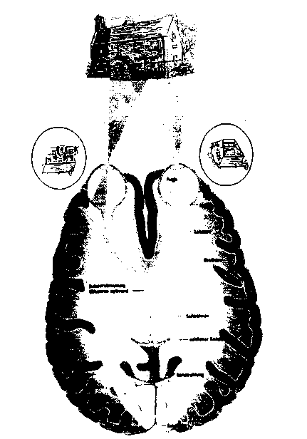 ������������ ��������