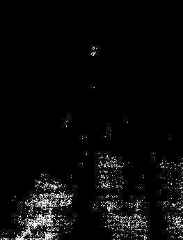 ���������� �� ������� �����������