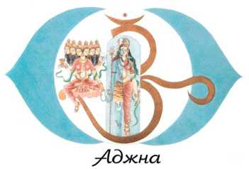 ��� ��������� ���������