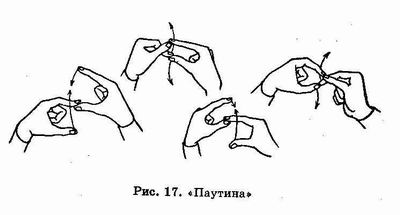 �������� - ������� ������������. �������� �����, ������������� ����