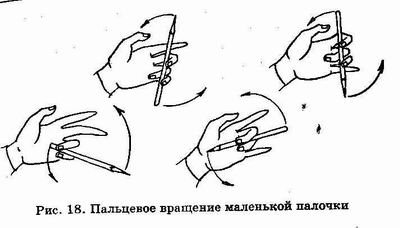 �������� - ������� ������������. �������� �����, ������������� ����