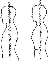 ��������� - �����������. ������� ����������� ��������������������� ��������, 2-� �������