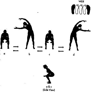 ������� - ������������ ���������������