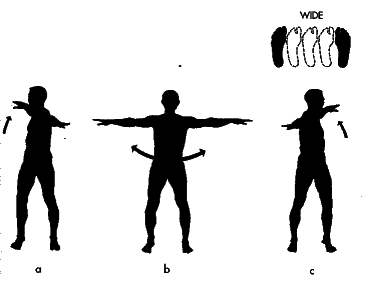 ������� - ������������ ���������������