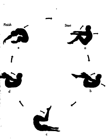 ������� - ������������ ���������������