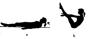 ������� - ������������ ���������������