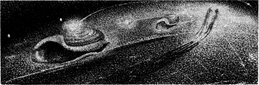 ������� - � �������� ���������� � �� ������ � ���