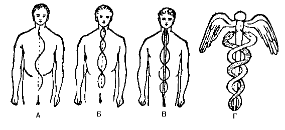 �������� �. - �����