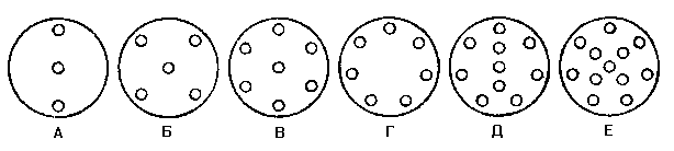 �������� �. - �����