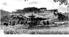 ������ �. - �����, ��� ����� � ������