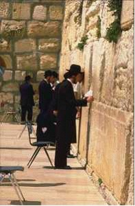 ������ - �����, ������������� ����. ���������� ������ ������