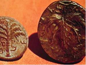 ������ - �����, ������������� ����. ���������� ������ ������