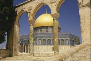 ������ - �����, ������������� ����. ���������� ������ ������