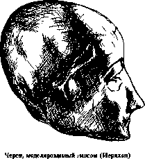 ����� - ������� �������