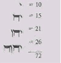 ������ - ������� ��������