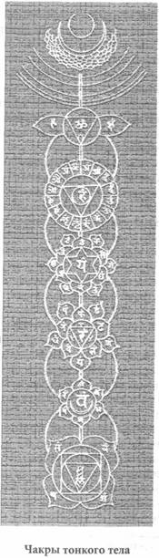 ����� - ��������� ���� ������������� �������. ����� ���� � �������