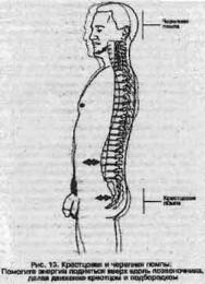 ��� - ������� �������. ���������������� �������, ��������� �������