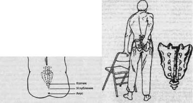 ��� - ������� �������. ���������������� �������, ��������� �������