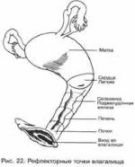 ��� - ������� �������. ���������������� �������, ��������� �������