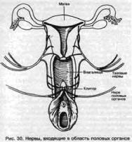 ��� - ������� �������. ���������������� �������, ��������� �������