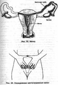 ��� - ������� �������. ���������������� �������, ��������� �������