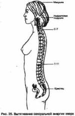 ��� - ������� �������. ���������������� �������, ��������� �������