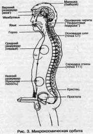 ��� - ������� �������. ���������������� �������, ��������� �������