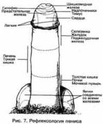 ��� - ������� �������. ���������������� �������, ��������� �������