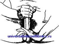 ������ - �������� ������� �����