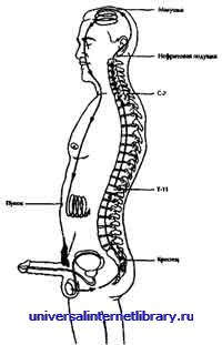 ������ - �������� ������� �����