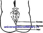 ������ - �������� ������� �����